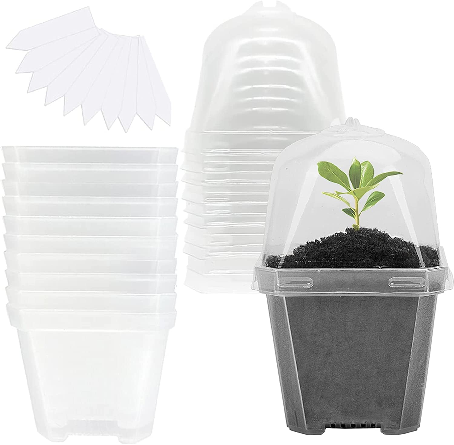EBaokuup, Ebaokuup 10PCS Clear Plant Nursery Pots with Humidity Dome - 3" Plastic Gardening Pot with Labels, Durable Plastic Plant Container for Seedlings/Vegetables/Succulents/Cuttings