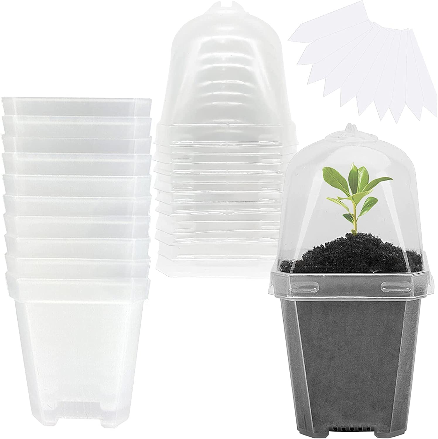 EBaokuup, Ebaokuup 10PCS Clear Plant Nursery Pots with Humidity Dome - 3" Plastic Gardening Pot with Labels, Durable Plastic Plant Container for Seedlings/Vegetables/Succulents/Cuttings