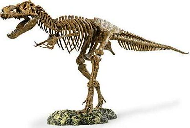 Elenco, Edu-Toys Science Tech T-Rex Skeleton 36 Scale Replica Model