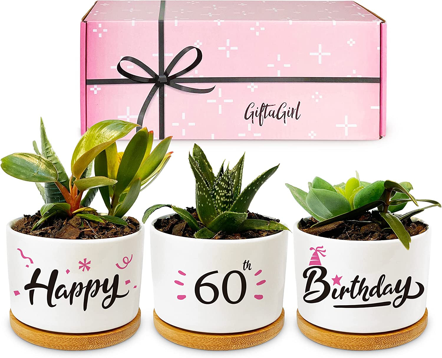 GIFTAGIRL, GIFTAGIRL 60Th Birthday Gifts for Women - Keepsake 60Th Birthday Gift Idea, like Our Pretty Pots Are for 60 Year Old Women or 60Th Birthday Decor and Arrive Beautifully Gift Boxed