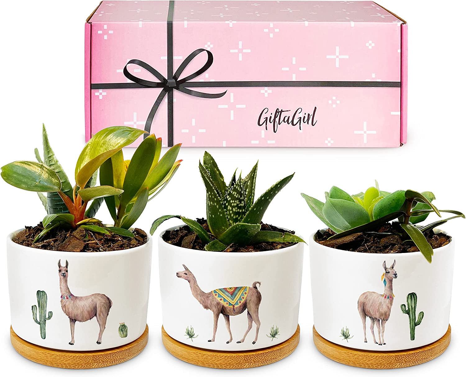 GIFTAGIRL, GIFTAGIRL Llama Gifts for Women - Cute Llama Decor Llama Stuff Our Llama Planter Sets Are Ideal Gifts for Girls Bedroom Kitchen or Bathroom and Great for Any Occasion, Arrive Beautifully Gift Boxed