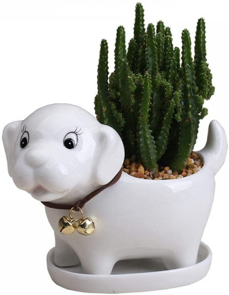 Gaolinci, Gaolinci Mini Cute Ceramic Animal Flower Pot, Succulent Plant Flower Pot with Drain Tray