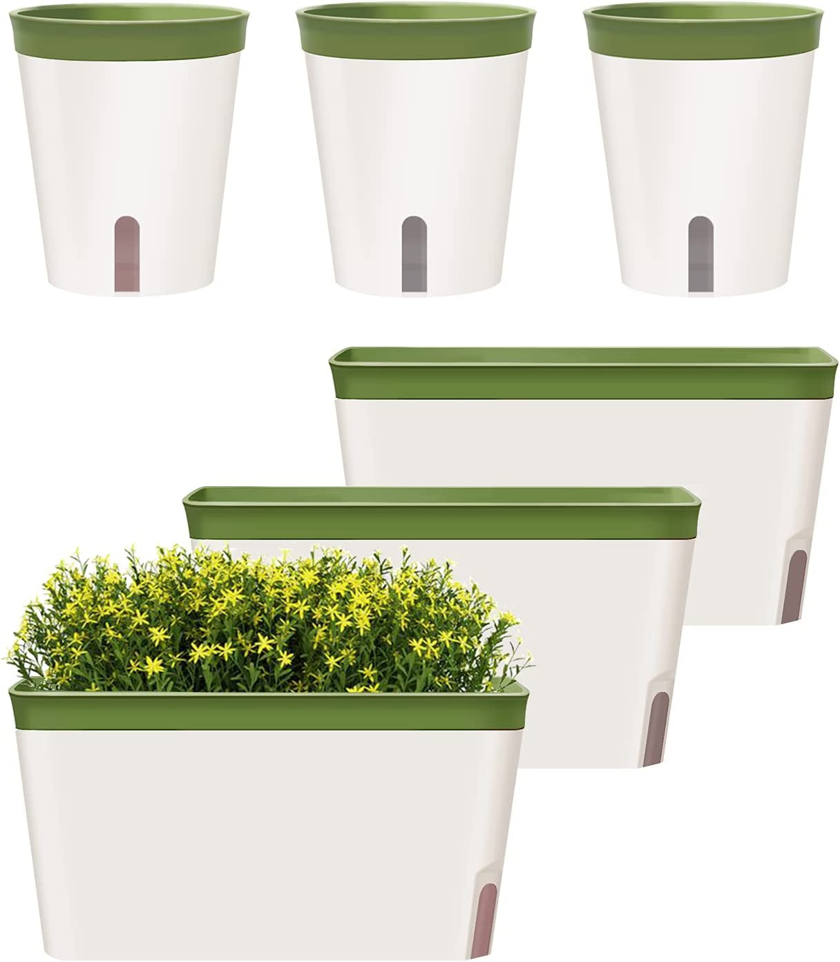 GardenBasix, Gardenbasix Self Watering Planter Pots Window Box for Indoor Plants Home Garden Modern Decorative Flower Pot for All House Herbs Succulents Set of 6 (6, Green(Rectangle))
