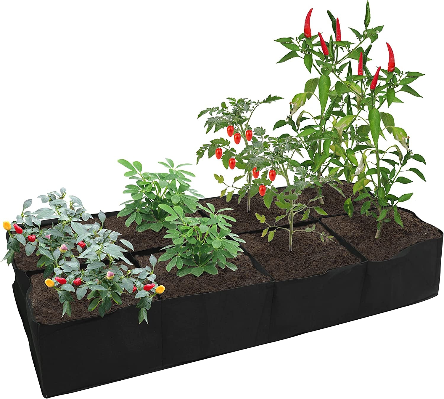 gardzen, Gardzen 2 Pack Divided Raised Vegetable Bed, Square Foot Gardening 3Feet X 6Feet - Having Your Own Garden